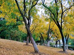 -白塘生态植物园