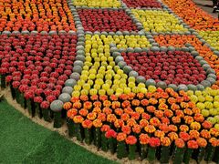 -南通洲际绿博园