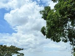 -火炉山森林公园