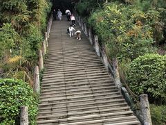 -铁山坪森林公园