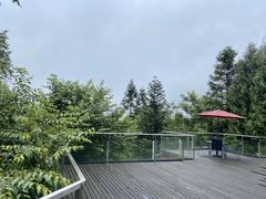 -南山植物园