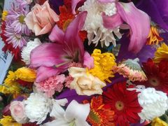 -东华林公墓(东丽殡葬服务站)