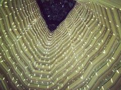 IMG_1376-广州四季酒店