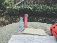 -香港大学