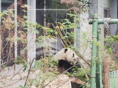 -北京动物园