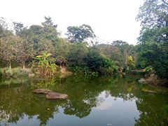 -中山市树木园