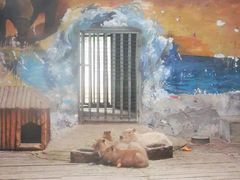 -石家庄市动物园