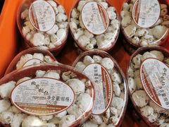 -叶受和(观前街店)