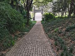 -苏州上方山国家森林公园