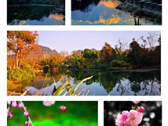 -花溪公园