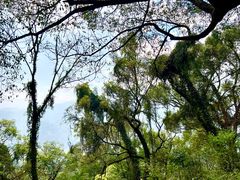 -青芝山风景名胜区