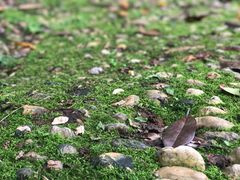 -湖南省立第一师范学校旧址