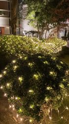 -馨月汇·一悦馨香月子中心(前滩店)