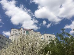 -吉林大学中日联谊医院(中心院区)