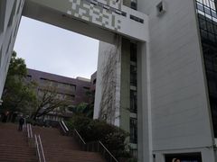 -香港大学