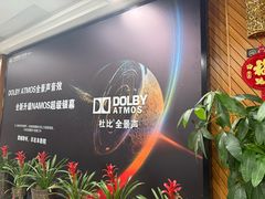 -大光明丽星VIP影城(昌里路杜比全景声店)