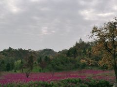 -斯瑞特国际酒店