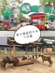 -萌宠亲子动物乐园(槐房万达店)