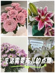 -薇薇安花系SPA