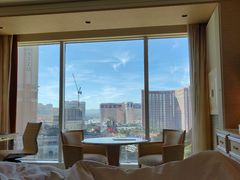 -拉斯维加斯永利酒店