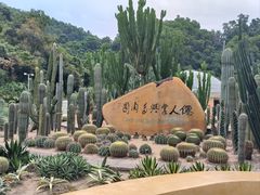 -深圳仙湖植物园