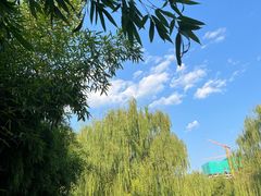 -元大都城垣遗址公园