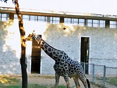 -石家庄市动物园