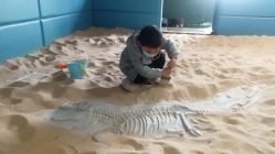 -恐龙探索乐园(磁器口店)