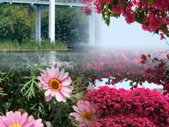 -东莞植物园
