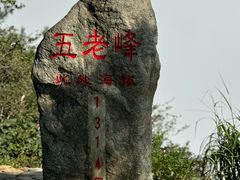 -望庐说·本地菜馆