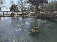 -南北湖风景区