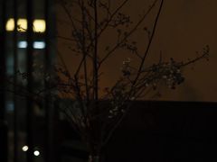 -小巨场咖啡