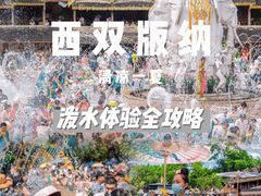 -西双版纳傣族园