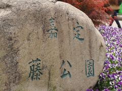 -嘉定紫藤园