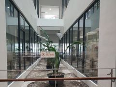 -上海市徐汇区口腔医院