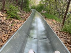 -富斯特索道