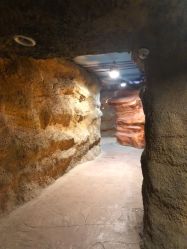 -酷嗒动物文化乐园(cutezoo西溪乐天城店)