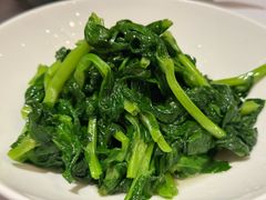 高山豆苗-南麓·浙里(外滩店)
