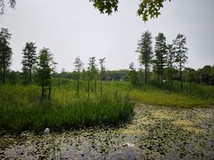 -广富林郊野公园