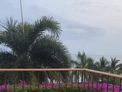 -日落吧·海景咖啡厅·餐酒吧·鸡尾酒·下午茶·乐队表演·浪漫夕阳·三亚文华东方酒店