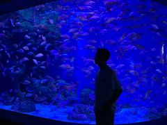 -成都浩海立方海洋公园