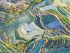 -腾冲北海湿地