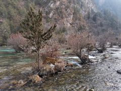 -九寨特色牦牛肉汤锅 羊肉汤锅