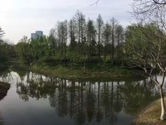 -尚贤河湿地