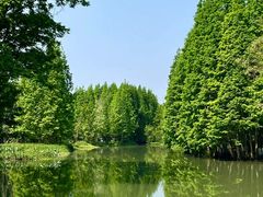 -桤木河湿地公园