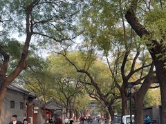 -北京国子监胡同