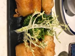 炸鲜奶-裕.鹅庄