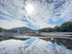 -红山村