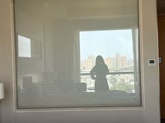 -上海浦东康桥绿地假日酒店