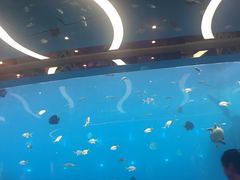 -瑞德姆美人鱼海底演艺主题餐厅(亚龙湾店)
